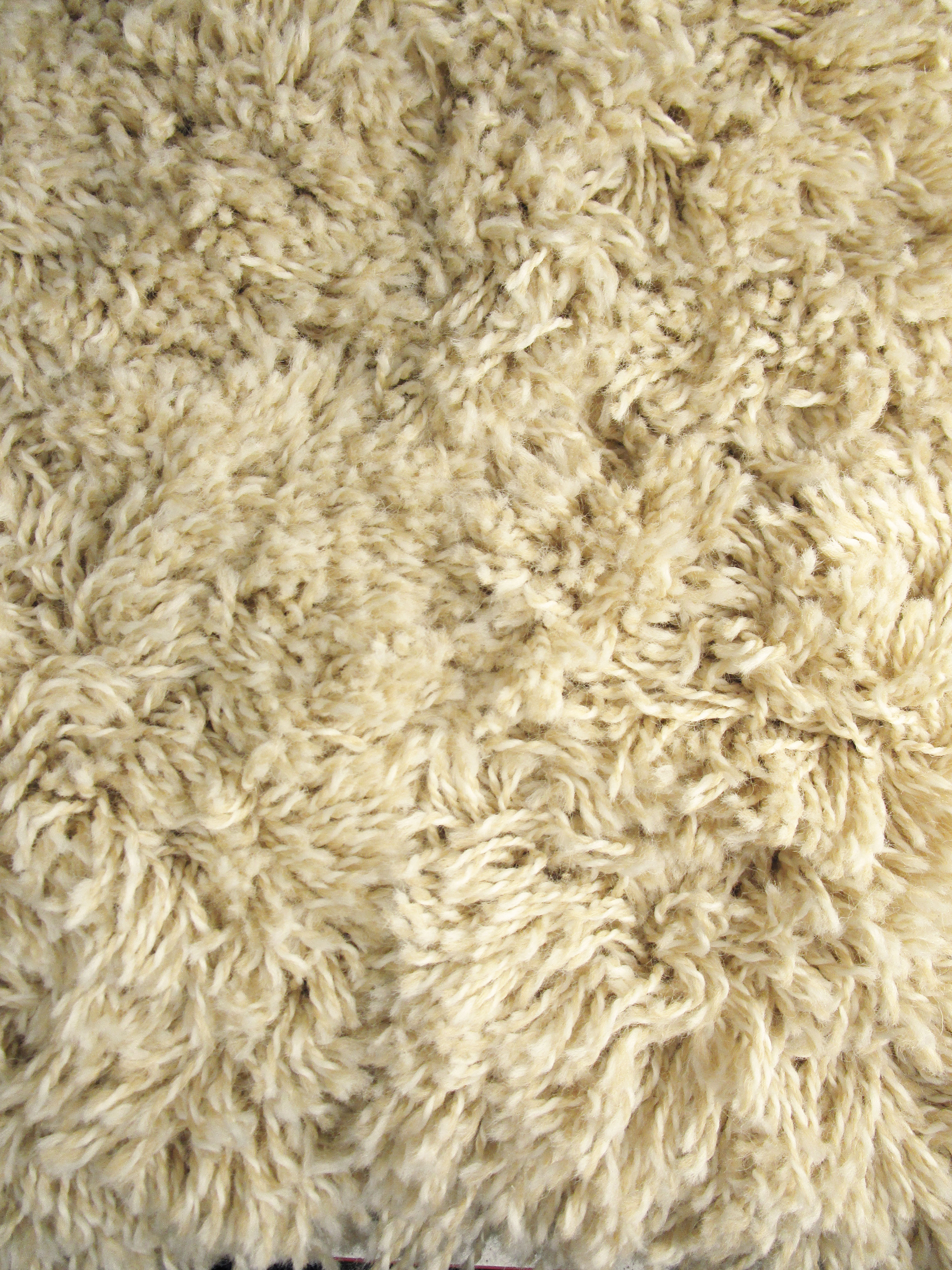 Sugar Cookies Shag Rug- Limited Stock 