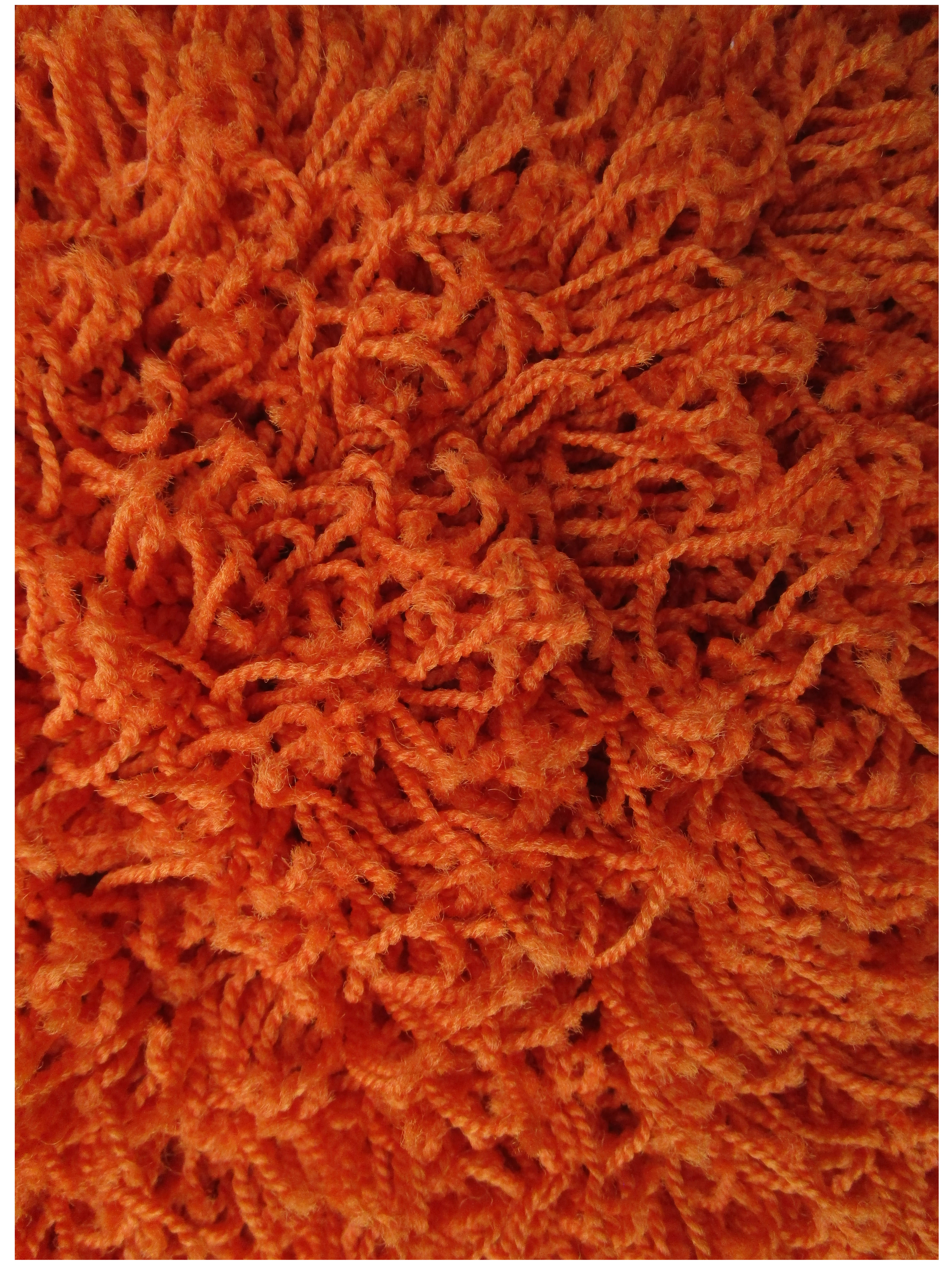 Burnt Orange Shag Rug 