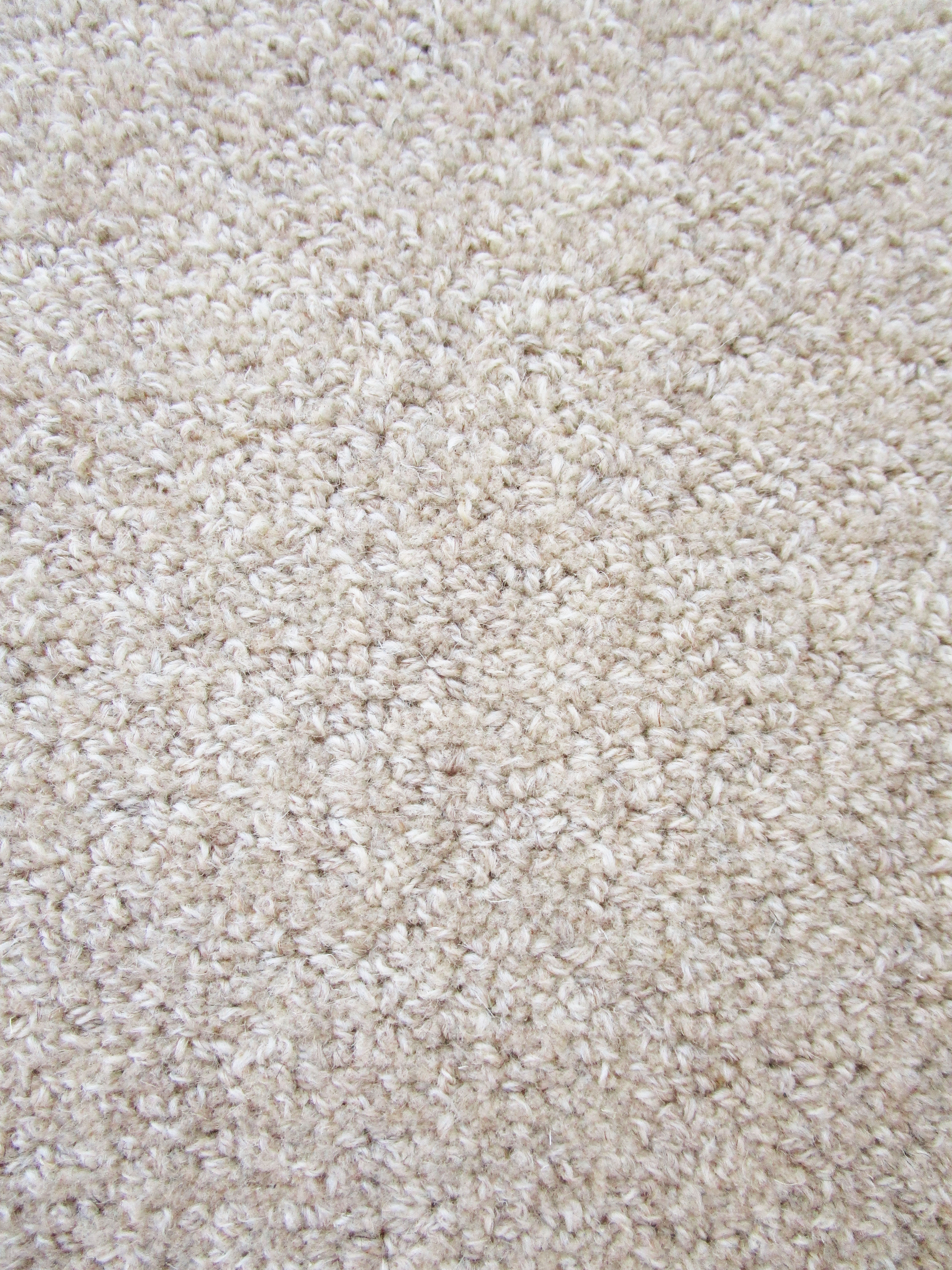 Eco-Friendly Heavy Soft Shear Beige Rug/Carpet 