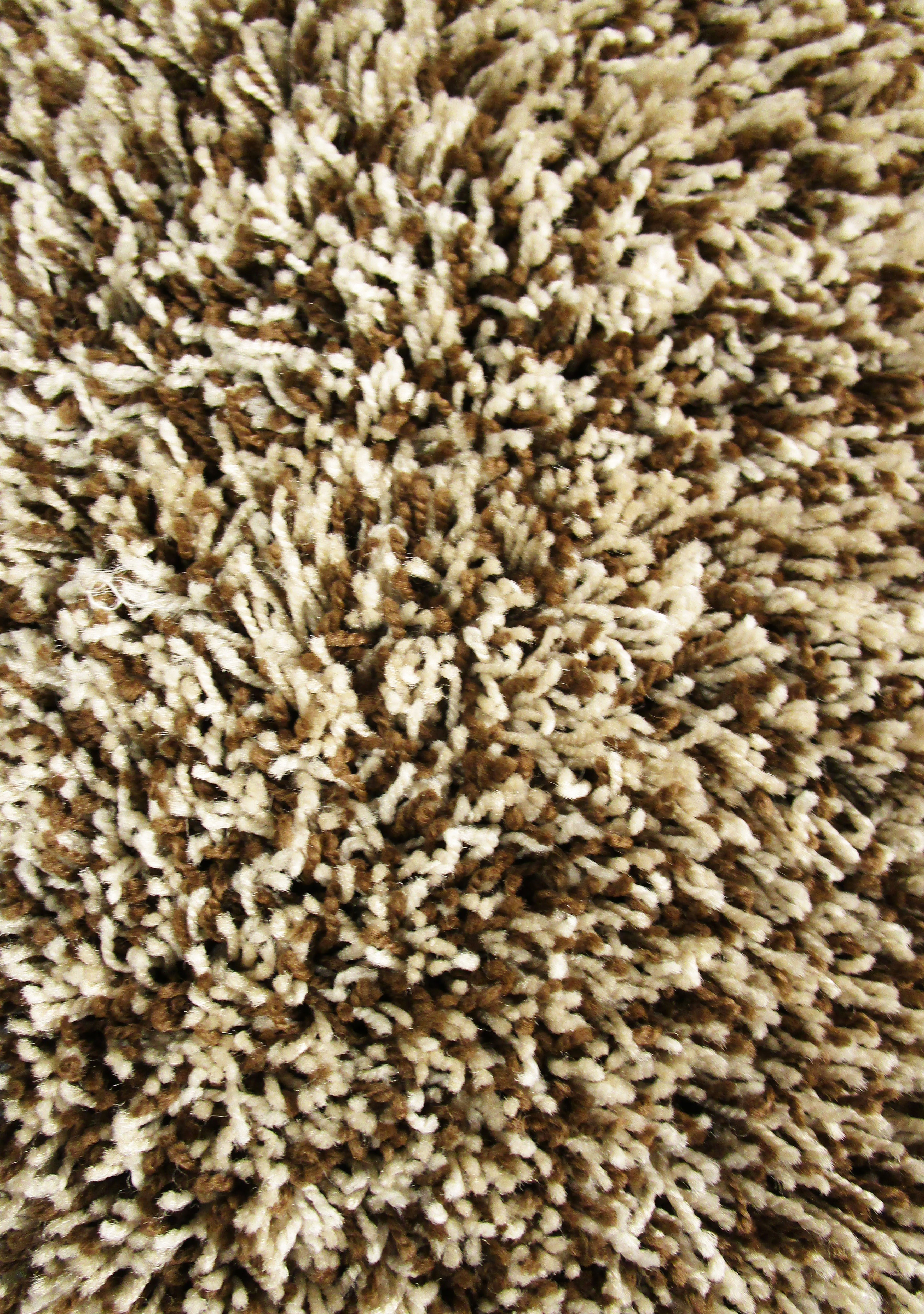 Latte III Shag Rug 