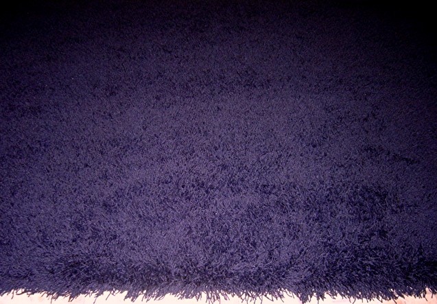 Navy shag Rug