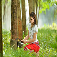 Eco Rugs Sansom Shag Rugs 
