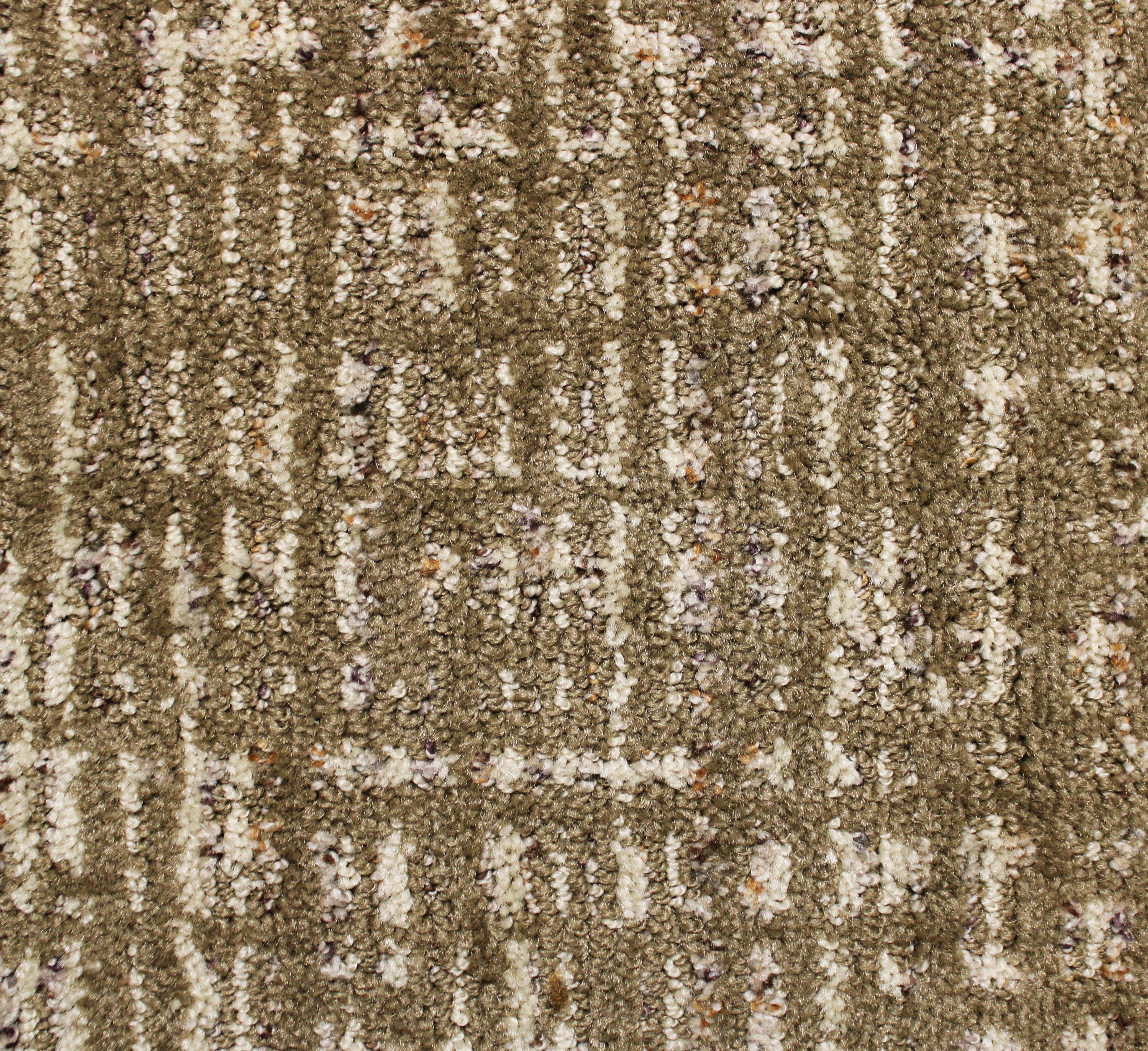 Commercial Cut Pile Beige Cream 