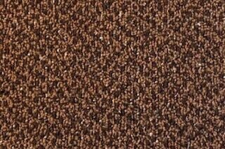 Commercial Carpet  Bronze and Brown