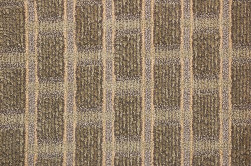 Commercial Carpet Award Winner Beige and Sage 