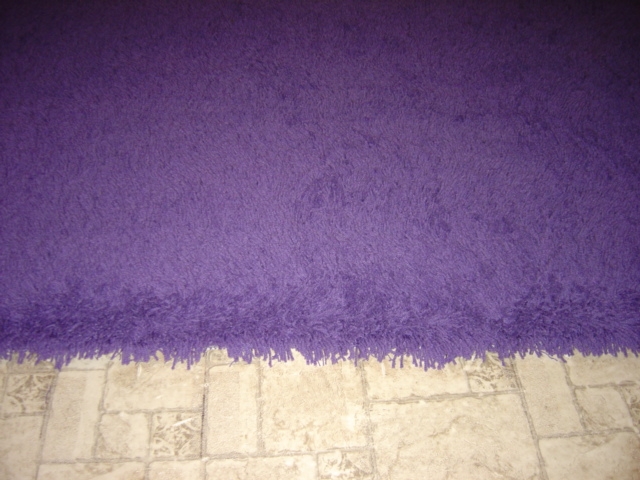Purple Shag Rugs